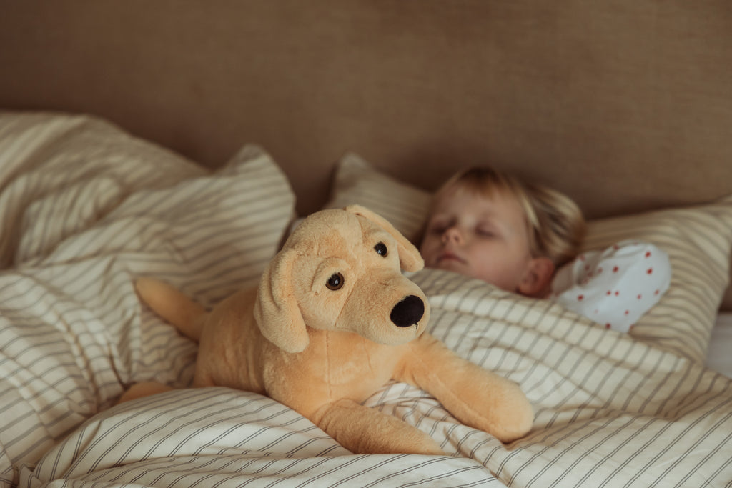 By Astrup Tyngdedyr Hund - 2,2 kg.