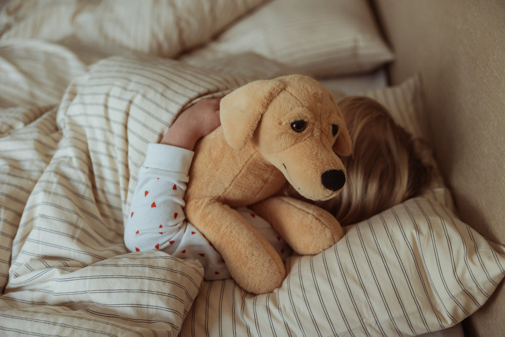 By Astrup Tyngdedyr Hund - 2,2 kg.