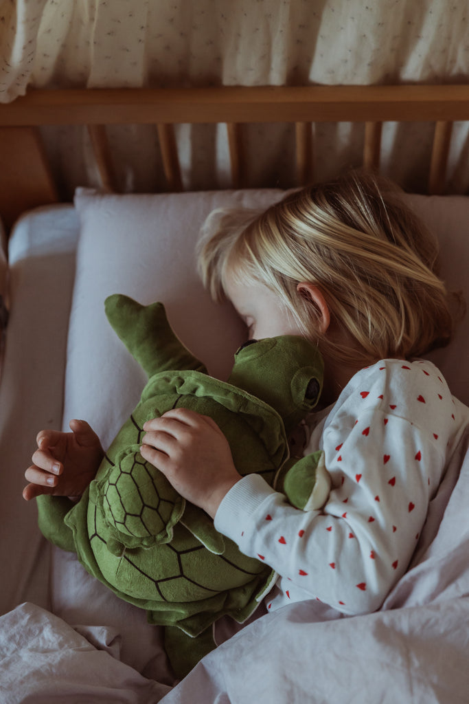 By Astrup Tyngdedyr Skildpadde - 1,6 kg.