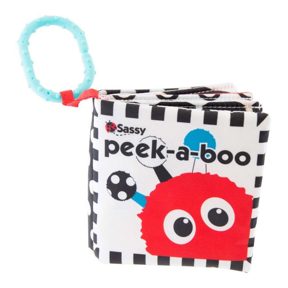 Sassy Peek-A-Boo Book
